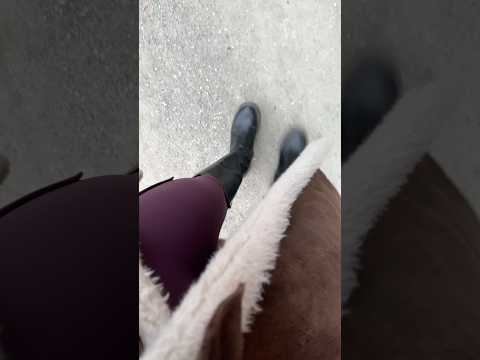 ASMR mit Wanderung und Hunde Kommandos. 🤣