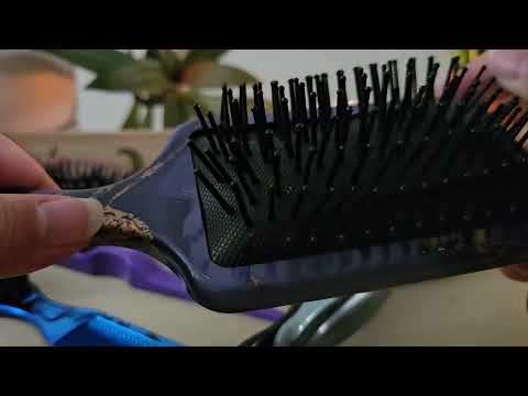 🪮ASMR Hair Brush Sounds🪮 (No Talking)