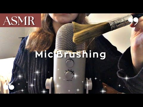 ASMR | Slow Mic Brushing With Paint Brush 🎙🖌️ (No Talking)