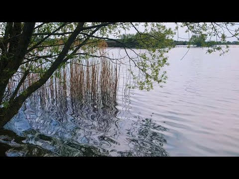 Relaxing lake ambience to calm mind