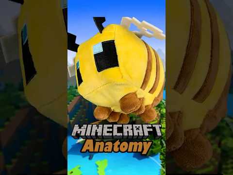 Anatomy of a Minecraft Bee 🐝