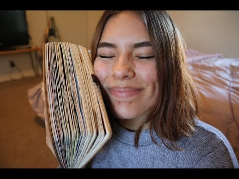 asmr 2019 bullet journal flip-thru *whispered*