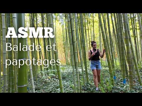 ASMR 🌿 Balade et papotages dans le merveilleux jardin de "Bambous en provence"