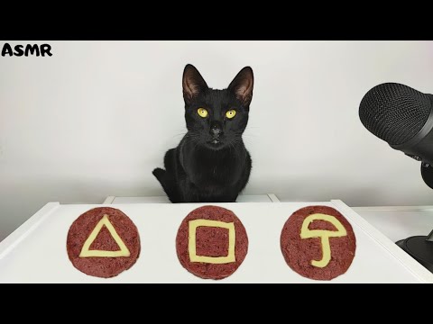 Cat eating Squid Game Dalgona Candy ASMR