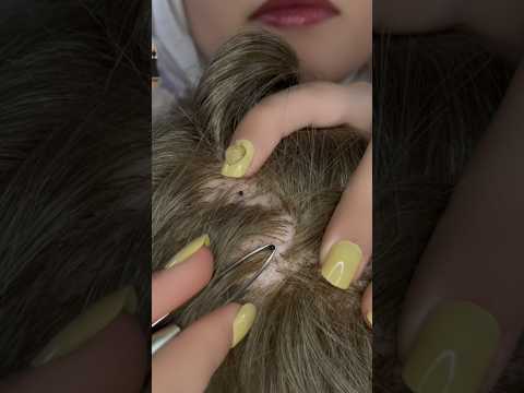 Hair check 💆🏻‍♀️ #asmr #satisfying #relax #shorts