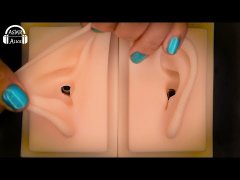 【睡眠用ASMR】シリコン製の耳をさわるだけ60分 - Ear Rubbing 60min【No Talking】