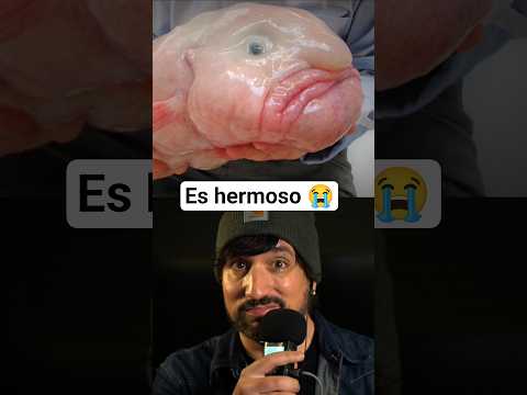 Top 3 Animales Marinos más FEOS 😱