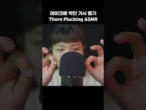 Thorn Plucking On Mic ASMR 마이크에 박혀버린 가시들 뽑기 ASMR