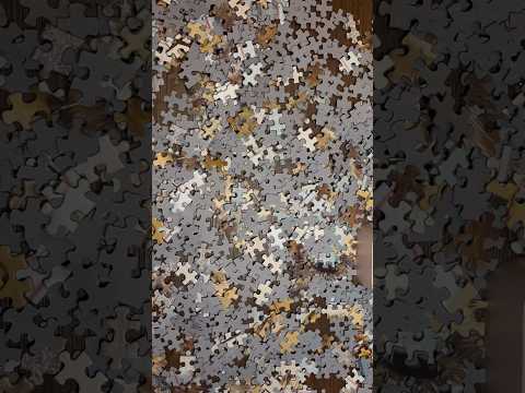 ASMR With Puzzle Pieces | No Talking #ASMR #Shorts