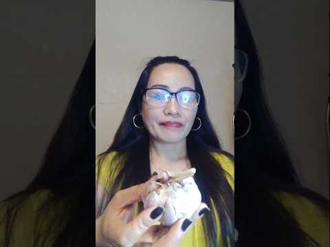 EATING RAW GARLIC#everyone #mukbang #shortsfeed #food #garlic #eatingsounds #challenge