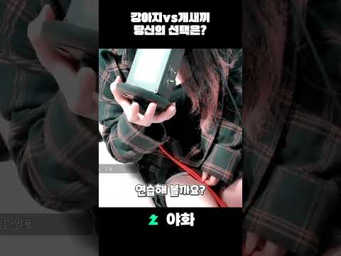 개새끼vs강아지 #야화 #ASMR #치지직 #반캠 #3dio