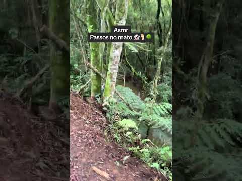 Asmr passos #asmr #tingles