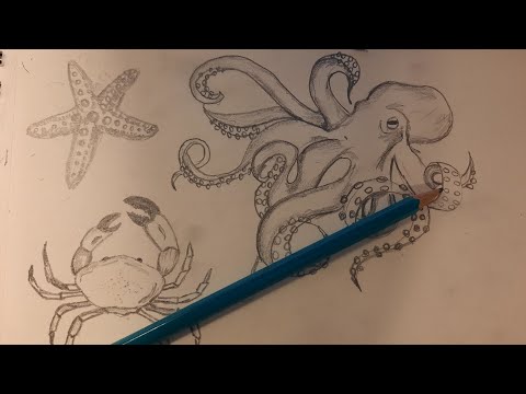 ASMR desenhando animais marinhos🦀🐙