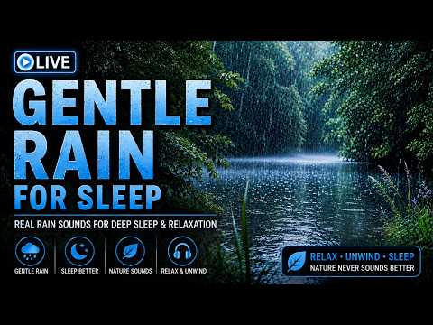 🌧️Gentle Rain for Sleep LIVE 😴 | Relaxing Rain Sounds, Deep Sleep & Stress Relief