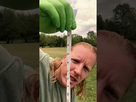 ASMR Measuring You #asmr