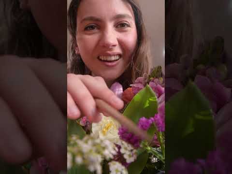 Laisse moi prendre soin de toi (tu es une coccinelle) 🐞 l Vidéo longue disponible