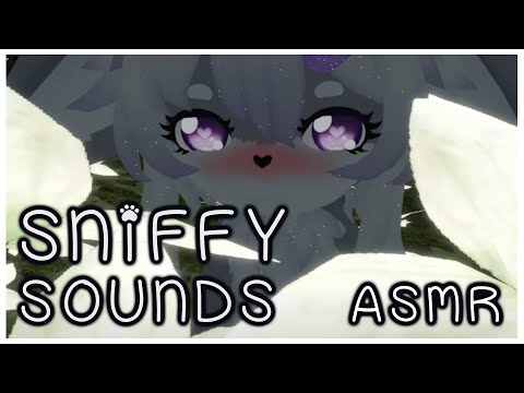 Bunny Girl Sniffs You ASMR | Binaural Sniffy Sounds
