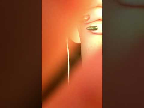 ASMR Hand Movements & Mouth Sounds #asmr #asmrvideo #handmovements #mouthsounds