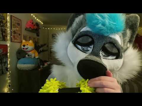 ASMR 🐺 Short Stream 🐺  !youtube