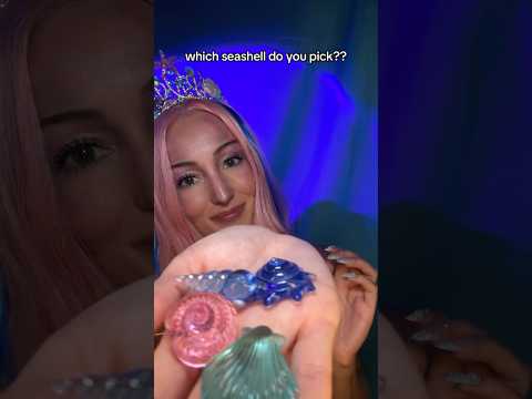 which seashell do you pick??
