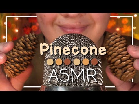 ASMR 1 Hour Pinecone Sounds 🤎🌲 (No Talking)