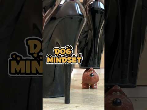 Boots Crushing Toys: Pea vs. Dog! Oddly Satisfying ASMR
