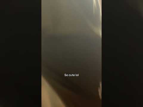 Check out my latest video