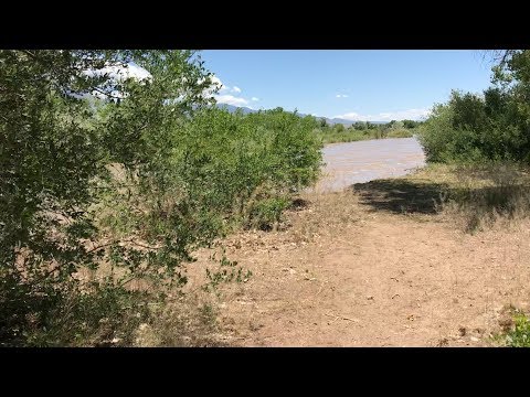 ASMR | Walking A Trail Along A River | No Talking