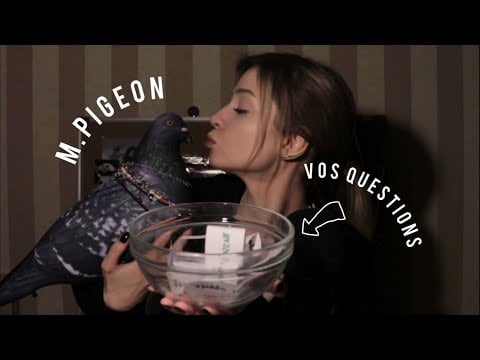 FAQ je réponds à vos questions