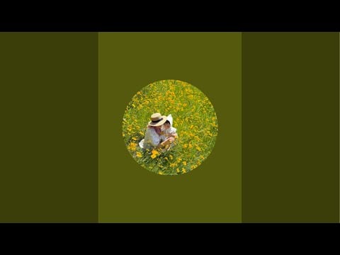 AN ASMR  está en vivo