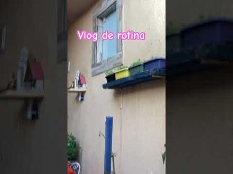 Vlog de rotina em casa