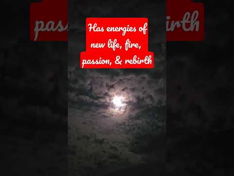 Flower Full Moon Energies (Set Goals, Manifest, Rebirth) #shorts #fullmoon #healing