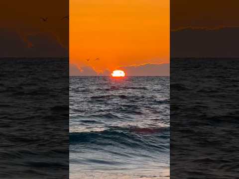 30 seconds of ocean ASMR Siesta Key Beach 🏝️ 🌊