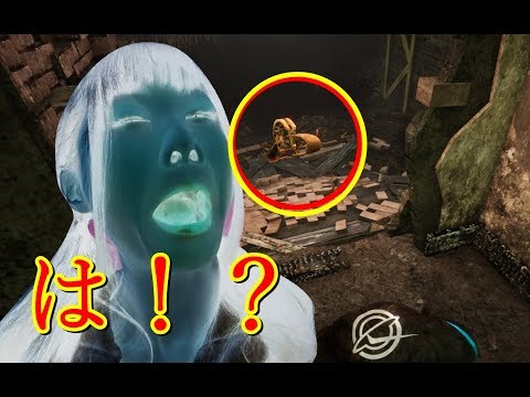 【生配信】バグだらけなDead by Daylight！【女性配信者】