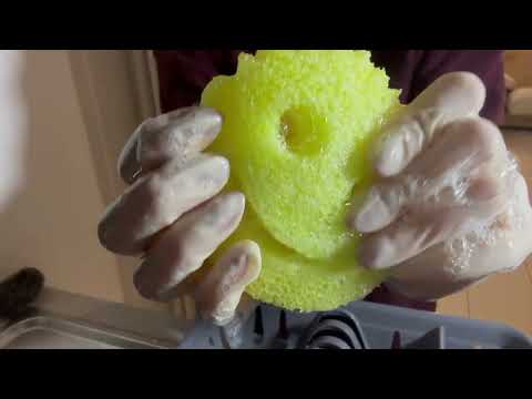 ASMR House Cleaning featuring white surgical latex gloves (part 1)
