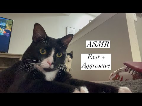 ASMR 💕 Fast & Aggressive Brushing & Scratching 💅🏻