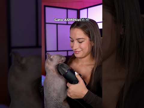 Mi gato hace ASMR!😻 #ASMR #asmrcat #asmrvideo