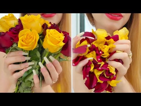 ASMR for Sleep & Stress Relief🌹 No Talking just Tingles