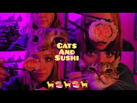 Eating Sushi with My Cat 🐈 