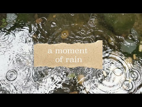 ASMR - comforting rain sounds