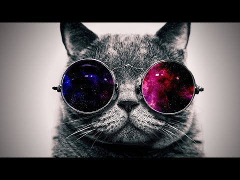 Anecdotes "Savoir Inutile" (Vidéo n°3) - ASMR Français