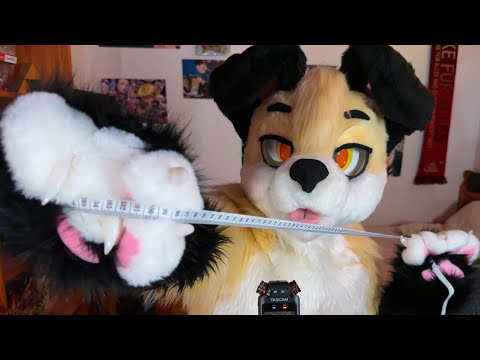 [Furry ASMR] Measuring Your New Fursuit RP