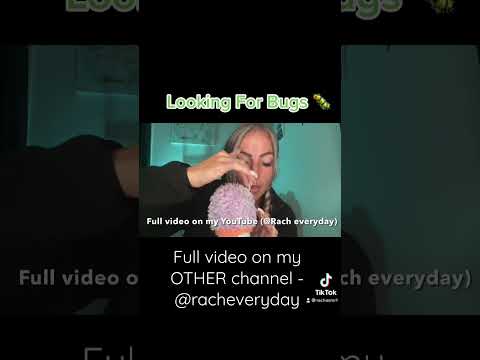 Bugs ASMR