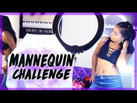 MANNEQUIN CHALLENGE With a YouTuber⎜Daseana♥ #MannequinChallenge