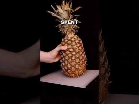 Fresh vs. Canned Pineapple Juice ASMR 🍍