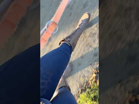 ASMR mit meiner geliebten Leoparden Leggings. 😍