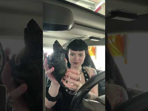 ASMR | Lofi Triggers In My Car 🚙🖤