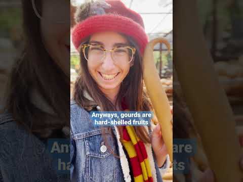 I visited a GOURD FARM!! #asmr #shorts #relax