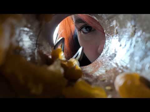 ASMR - Ear Cleaning And Picking with Visuals - Wax Removal - Gloves, Soft Spoken