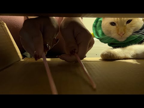 ASMR but You’re in a Box 📦 | Lofi Tapping, Scratching, Brushing & Tracing Triggers for Sleep